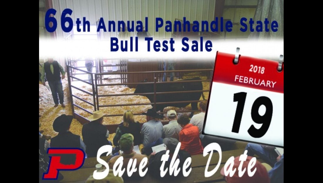 The sale is set for Monday, February 19, 2018 in the England Activity Building at the University Farm in Goodwell beginning at 1 p.m.