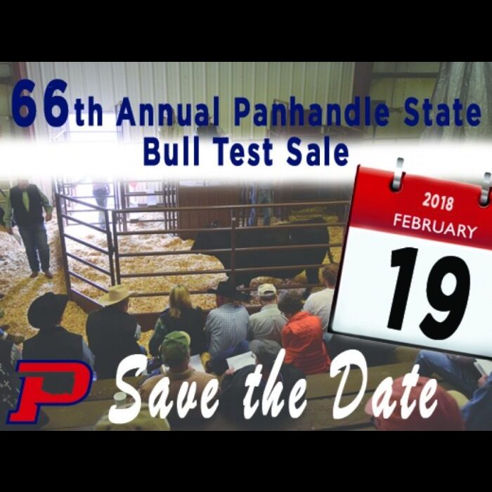 The sale is set for Monday, February 19, 2018 in the England Activity Building at the University Farm in Goodwell beginning at 1 p.m.