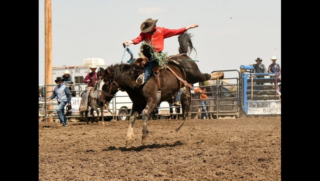 Dawson Dahm won the Saddle Bronc Riding title this past weekend at the Fort Hays State University college rodeo. —Photo by Dale Hirschman