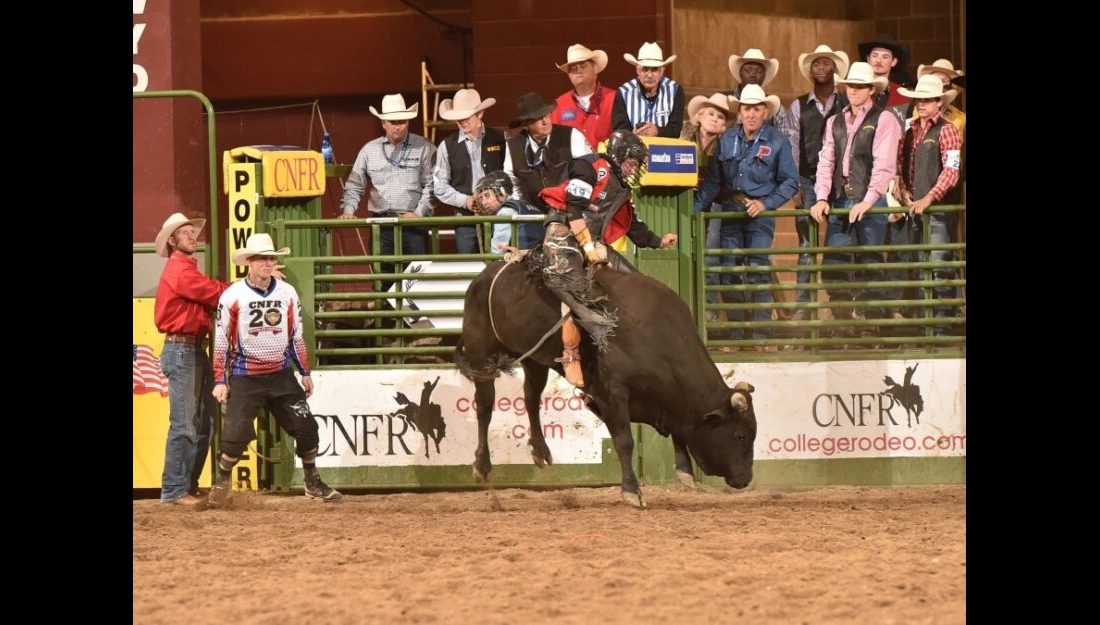 Dustin Martinez, a first-time CNFR qualifier, brought the heat in the bull riding earning 77.5 points for a second place finish in round two. —Photo by Dan Hubbell
