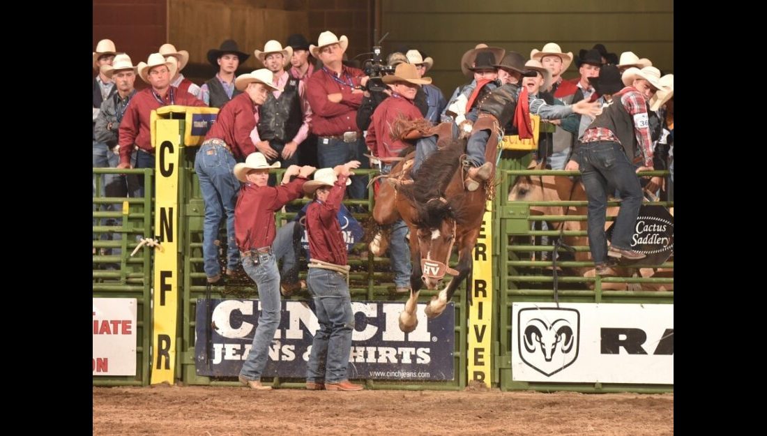 Will Martin finished round three in the second place position with a 79-point ride. He looks to have another great ride tonight in the short round at the CNFR. —Photo by Dan Hubbell