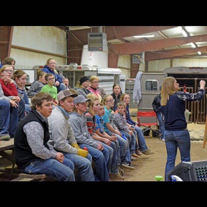 Hosted by Oklahoma Panhandle State University in partnership with Goodwell Public Schools, the Swine Clinic was held at the England Center at the Panhandle State Farm and saw nearly 20 participants. —Photo by Hannah Haase