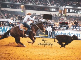 Panhandle State's very own Beau Peterson is a part of the first ever Breakaway Roping event at The American in Arlington, Texas. —Photo by Whitney Thurmond Photography