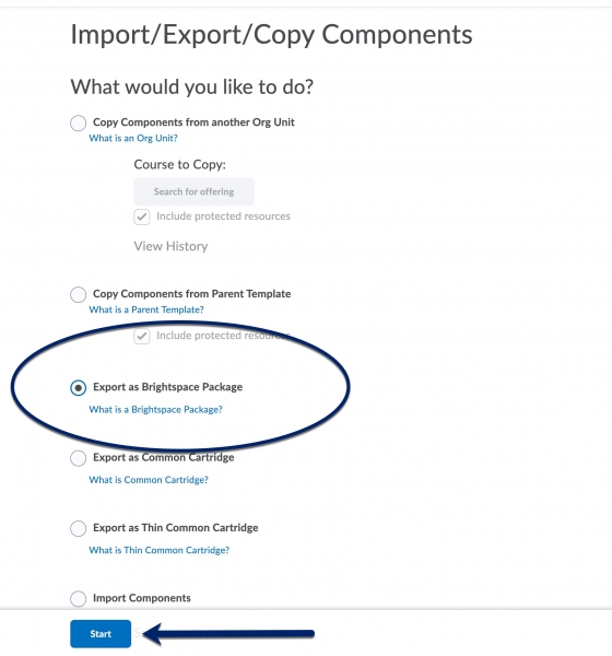 Export Brightspace Package