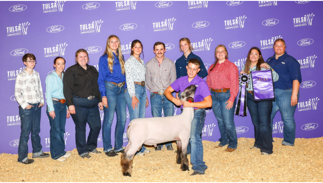 LivestockShowTeam