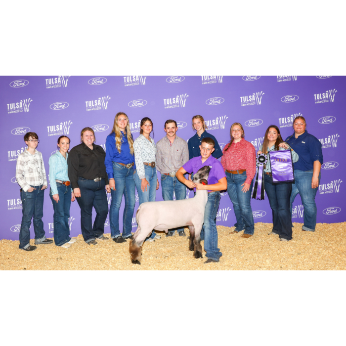 LivestockShowTeam